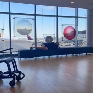 Meet your Posher, Callie